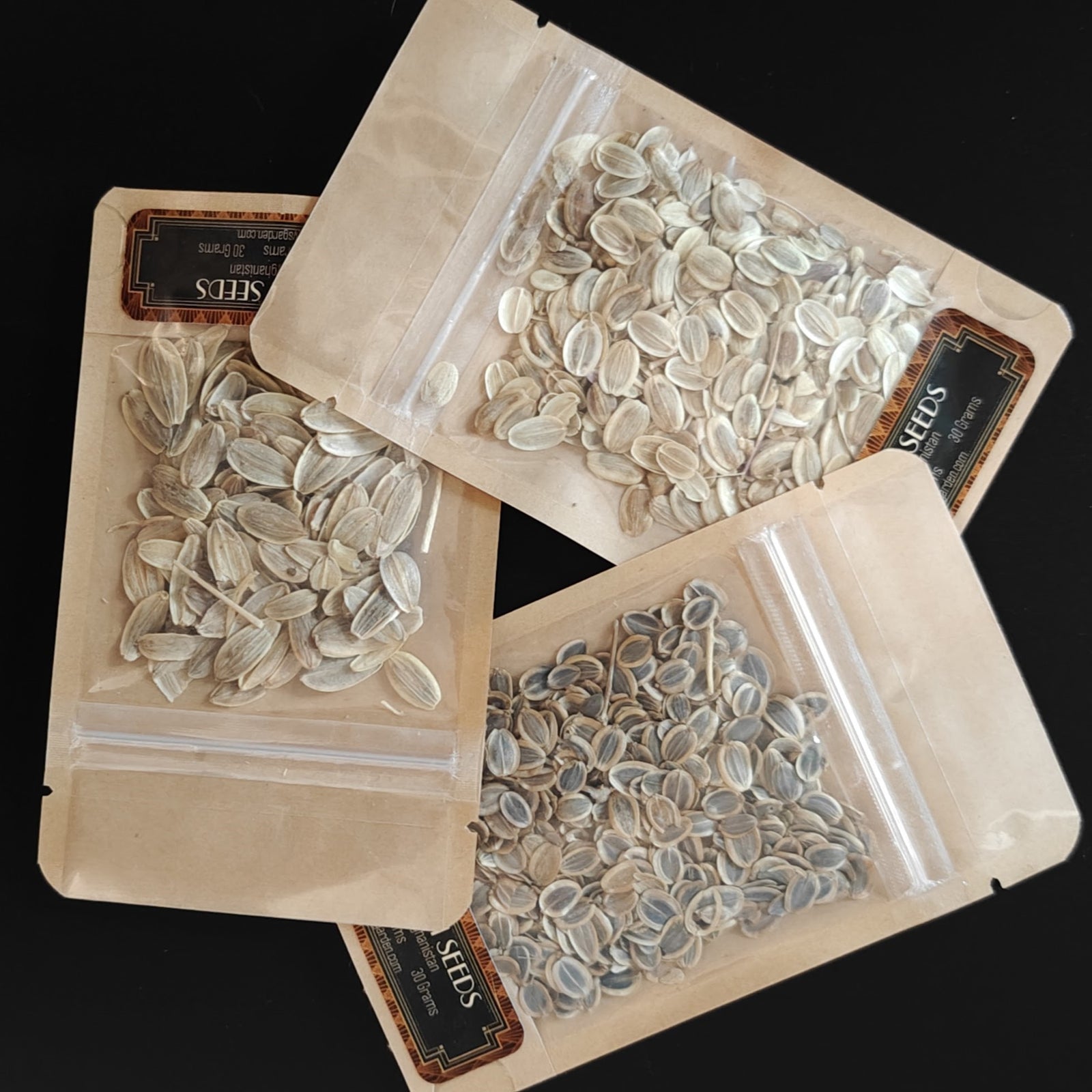 Galbanum Seeds-A Gift