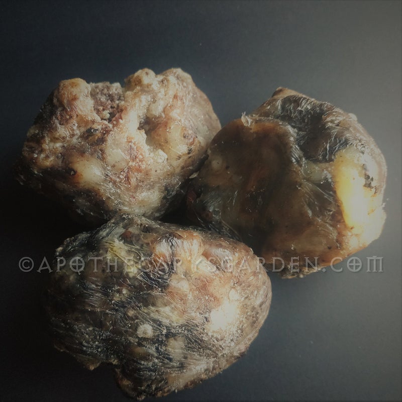 African-Elemi-Essential-Oil-v3.jpg