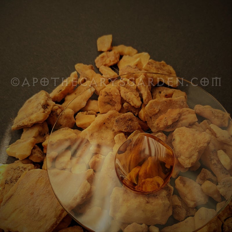 Benzoin Siam Absolute