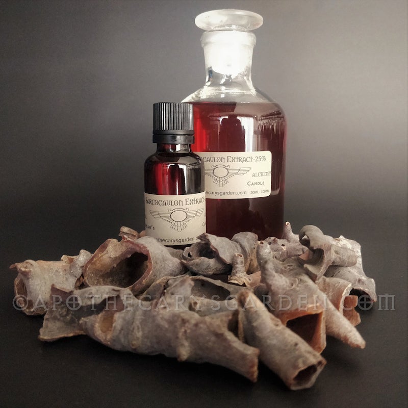 Bushman's Candle Extract