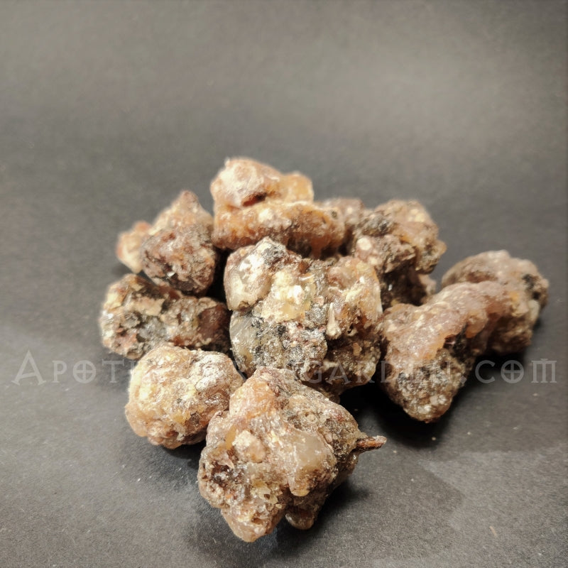 Copal Santo Essential Oil