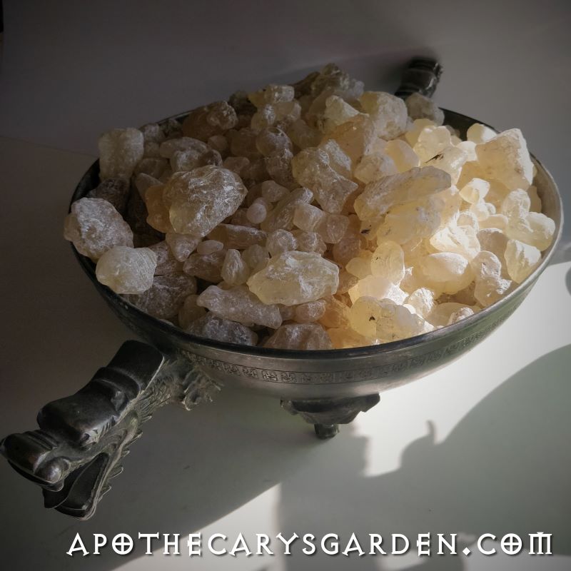 Copal Dammar
