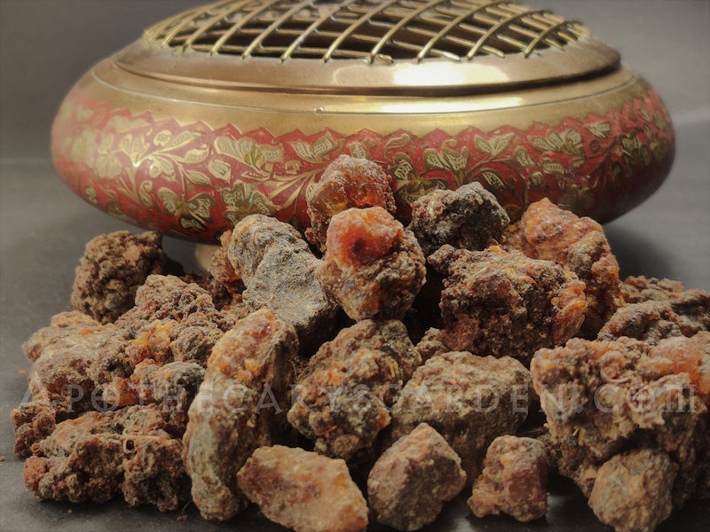 Erythraea Myrrh-Scented Myrrh