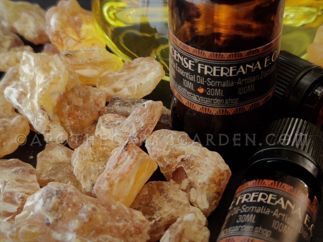Frankincense Frereana Essential Oil