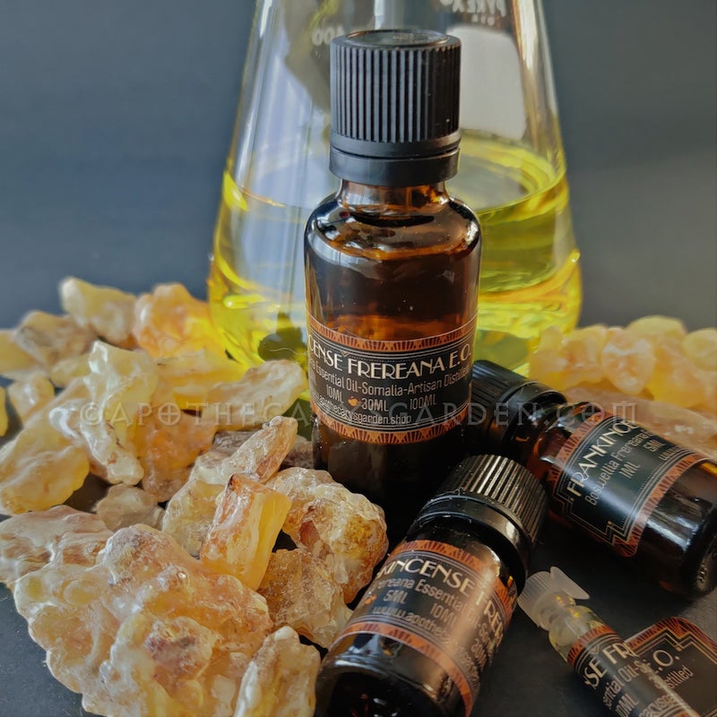 Frankincense Frereana Essential Oil