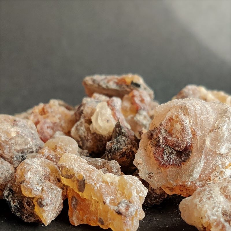 Frankincense Neglecta White