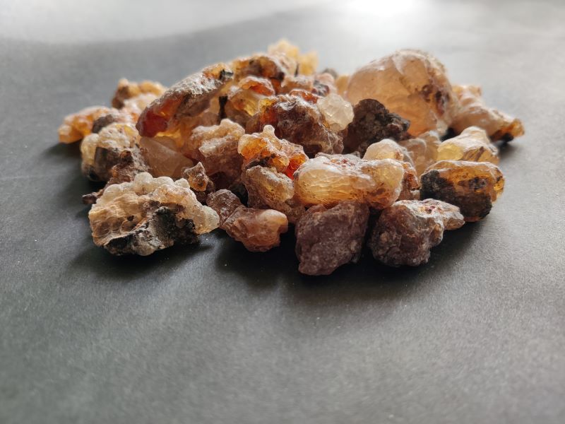 Frankincense Neglecta White