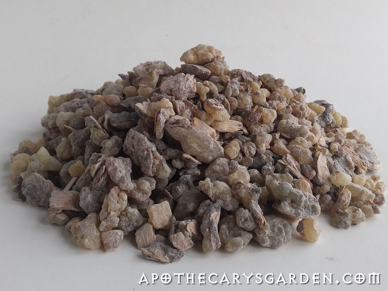 Frankincense Papyrifera