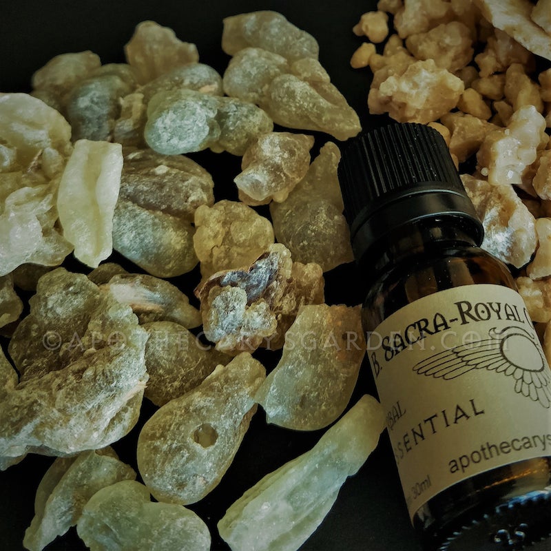 Frankincense Royal Green Hojari Essential oil