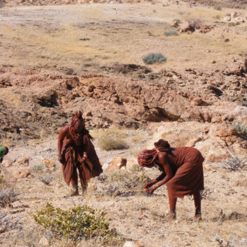 Himba women. Omumbiri resin, apothecarys Garden