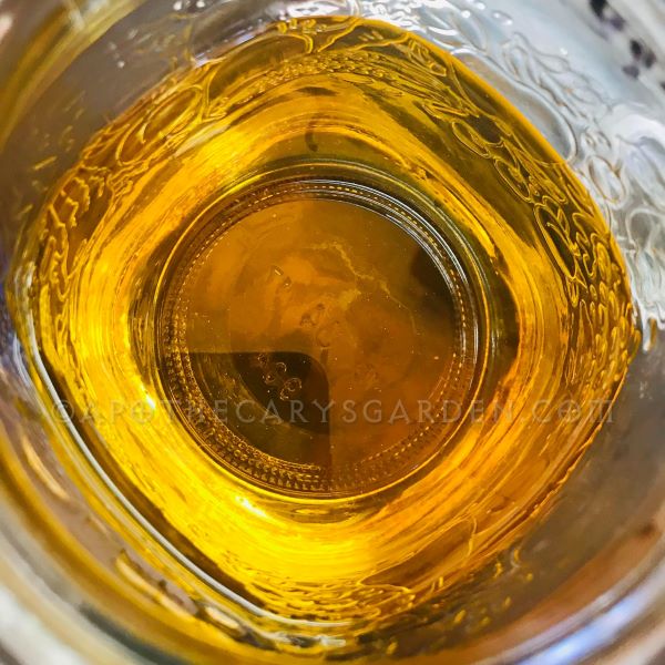 Muskrat musk-Perfume Tincture