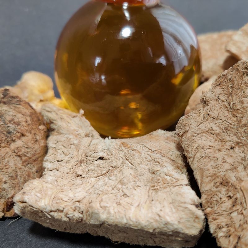Musk Root Extract