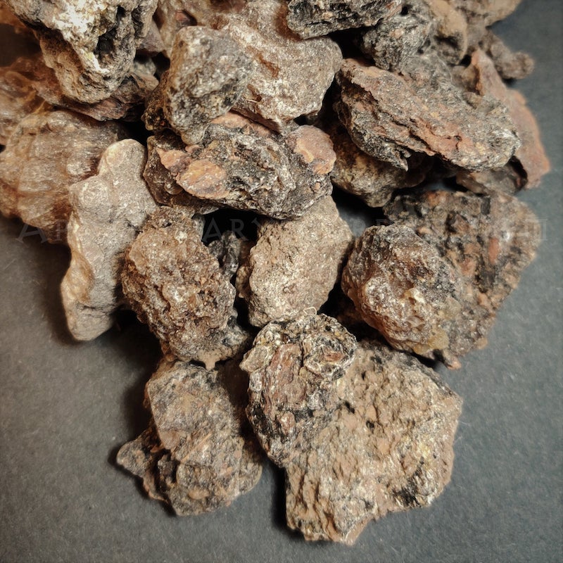 Norway Spruce Essential Oil