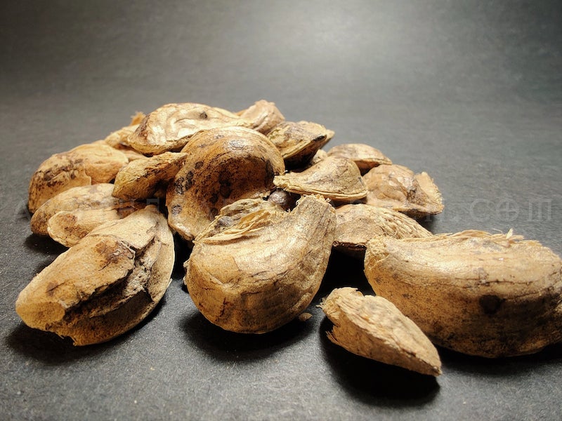 Peru Balsam Seeds