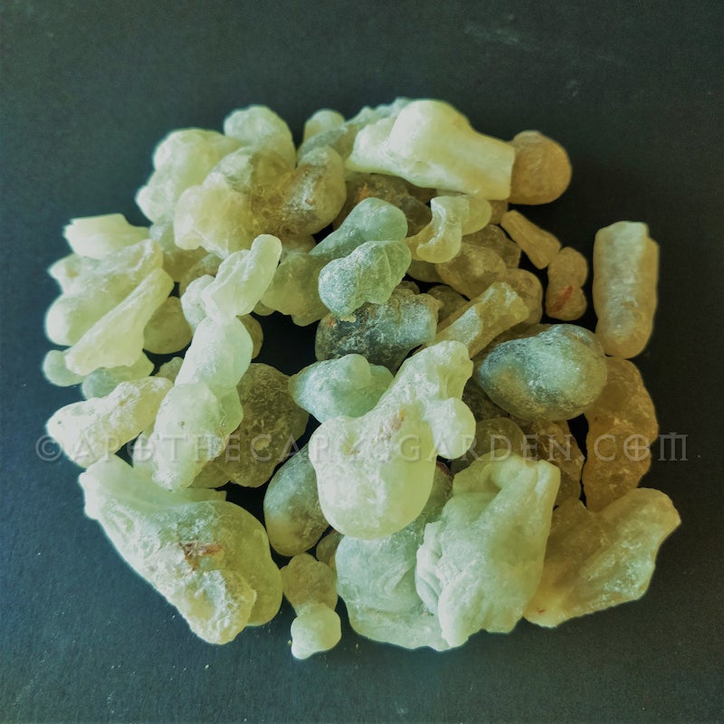 Sultan's Grade Royal Green Hojari Frankincense