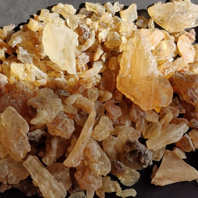Zanzibar Copal