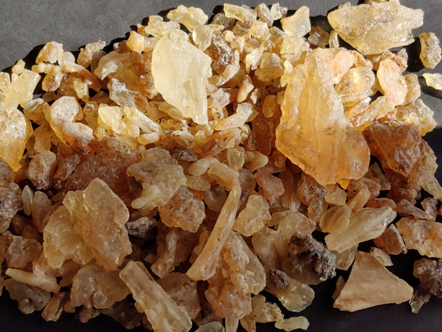 Zanzibar Copal