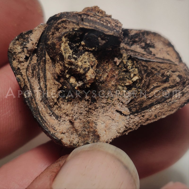 Ambergris-Oil-5%-v4.jpg
