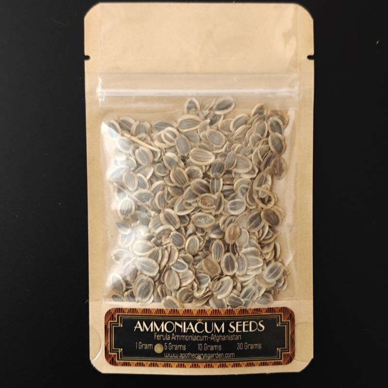 Ammoniacum-seeds