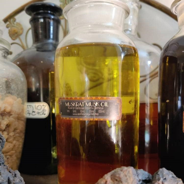 Muskrat Musk Oil