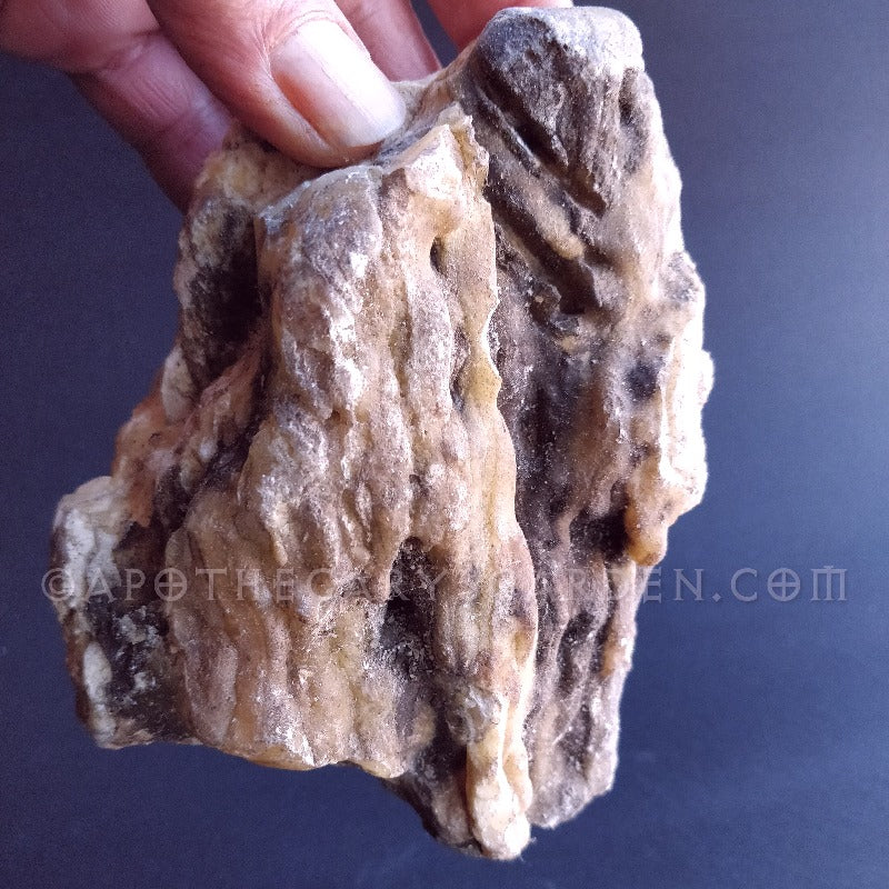 African-Elemi-Essential-Oil-v2.jpg