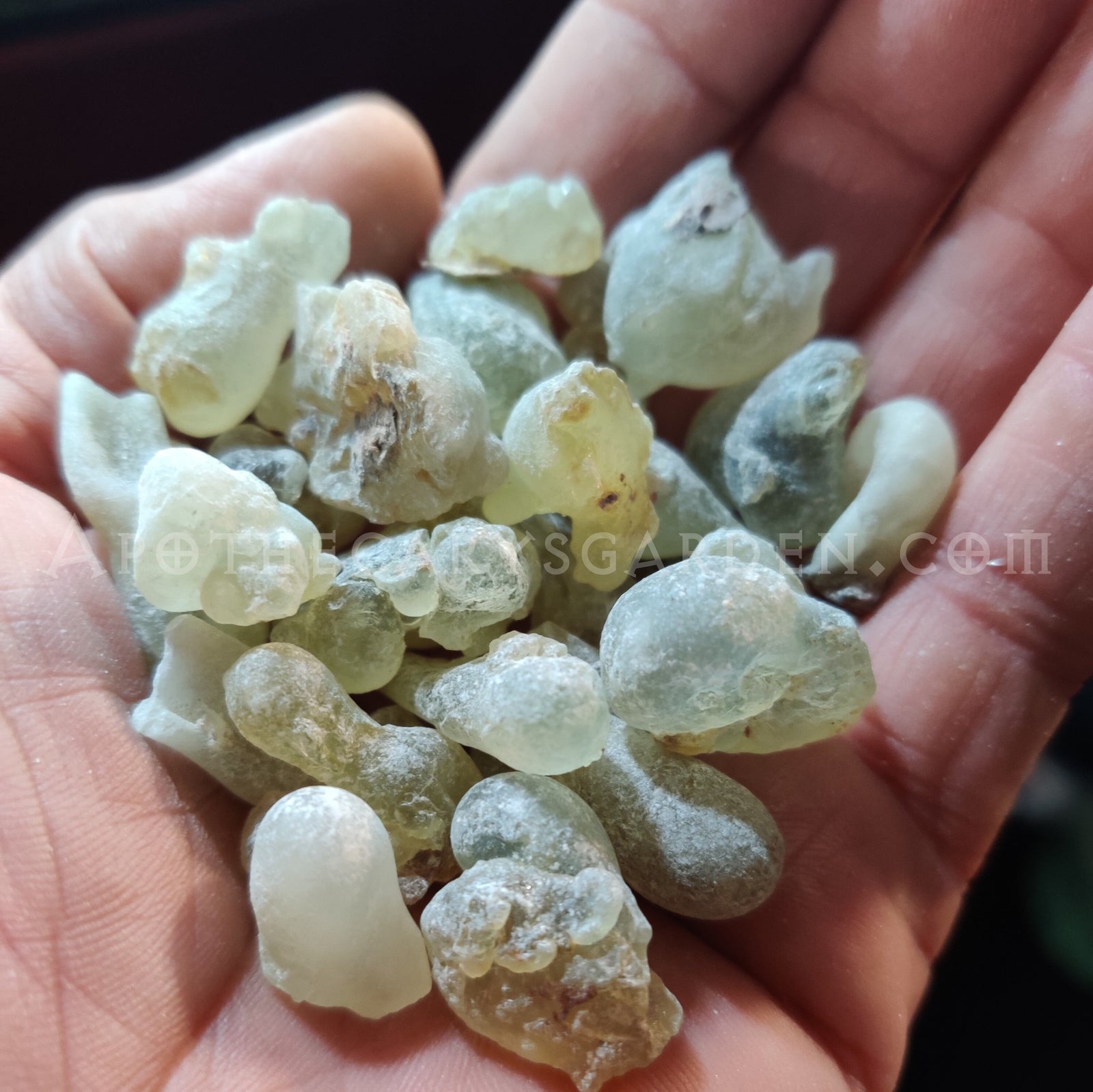 Communion Resin Extract-From a Co-distillation of Arabian Frankincense & Myrrh-An easy to use base for salves and cremes