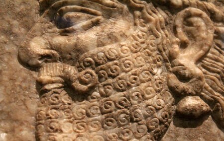 Babylonian Beard Wax-BACK IN STOCK-A nourishing beard and Moustache styling balm with the amber aroma of Frankincense & Labdanum resins.