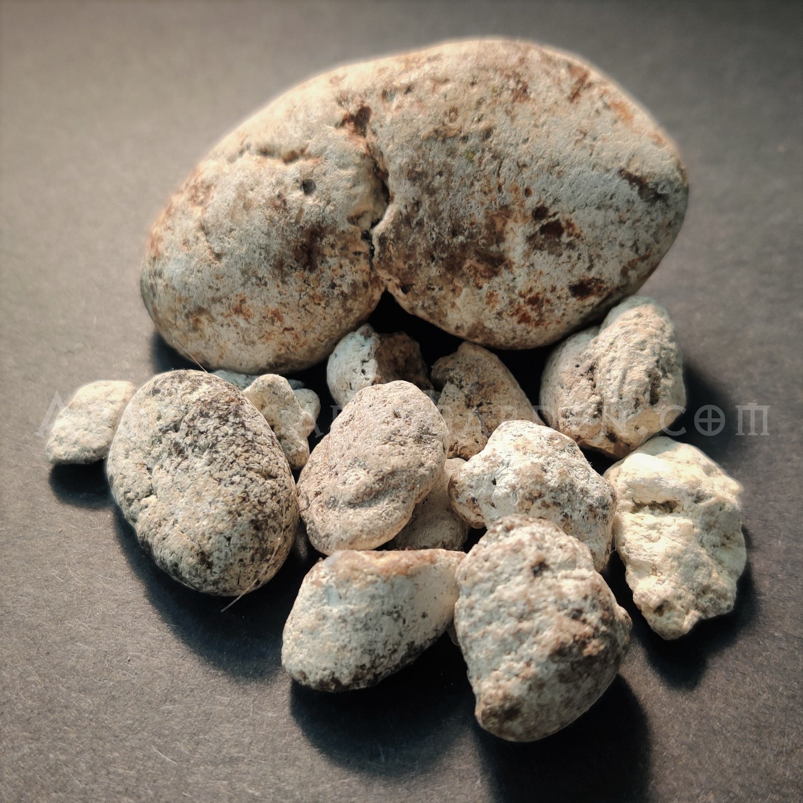 Ambergris-How to prepare an oil, Attar and tincture