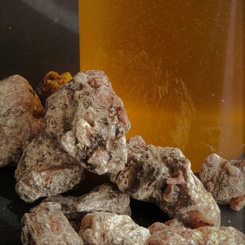 How to make an oil extract of Frankincense-2 methods