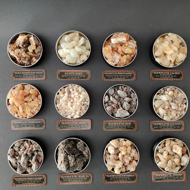 A complete guide to Frankincense Resins Apothecary's Garden