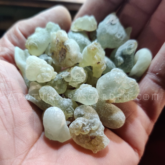 Frankincense