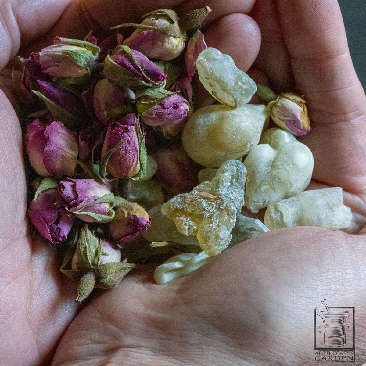Frankincense Rose Attar-HYDROSOL: A classic co-distillation!