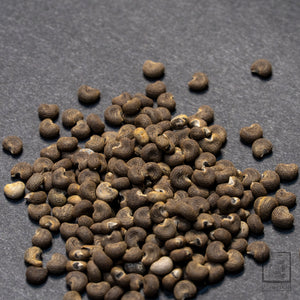 Musk Seeds-Musk Ambrette Seeds-Botanical Musk