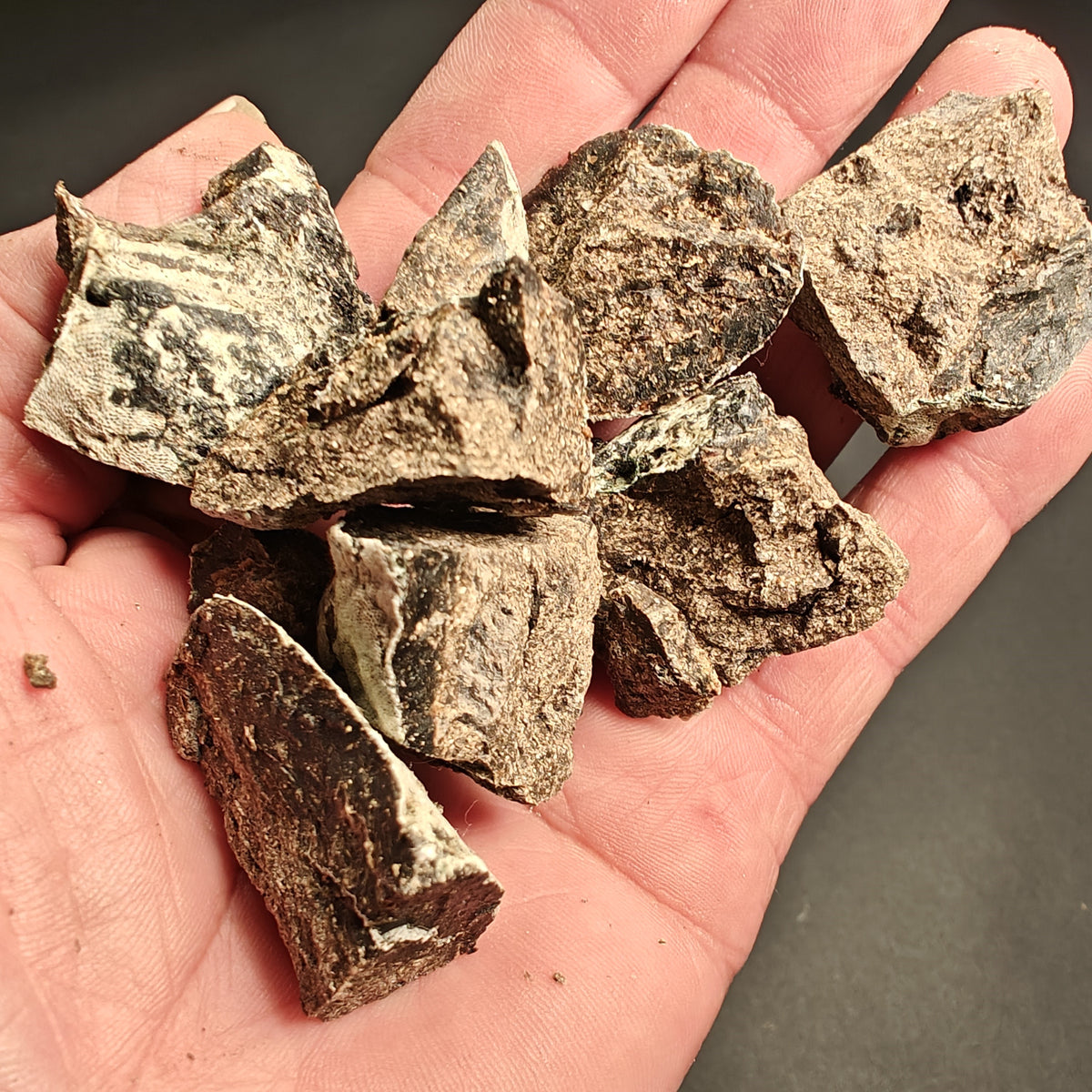 Ambergris-Raw