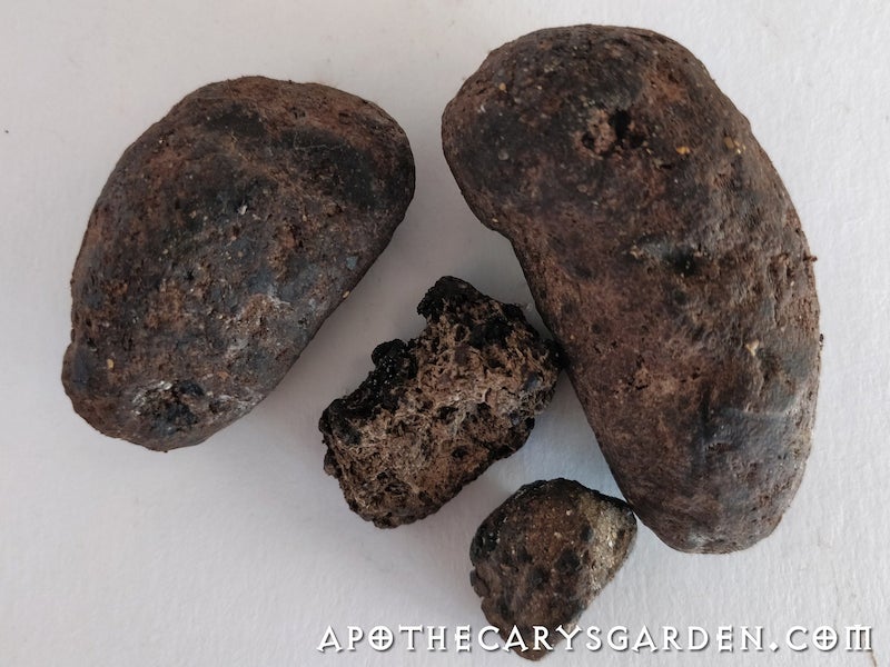 Ambergris-tincture-v3.jpg