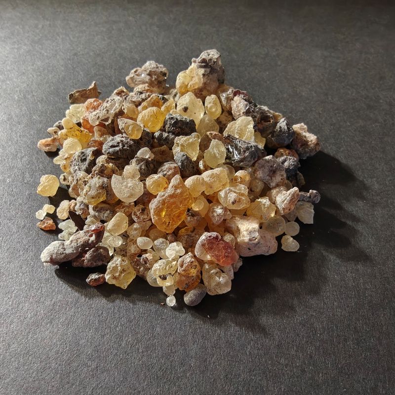 Frankincense Dioscoridis-RARE!