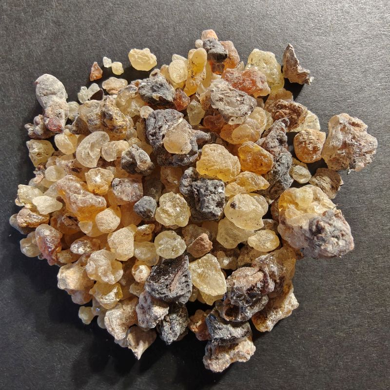 Frankincense Dioscoridis-RARE!
