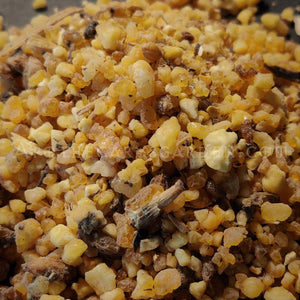 Bitter Asafoetida Resin