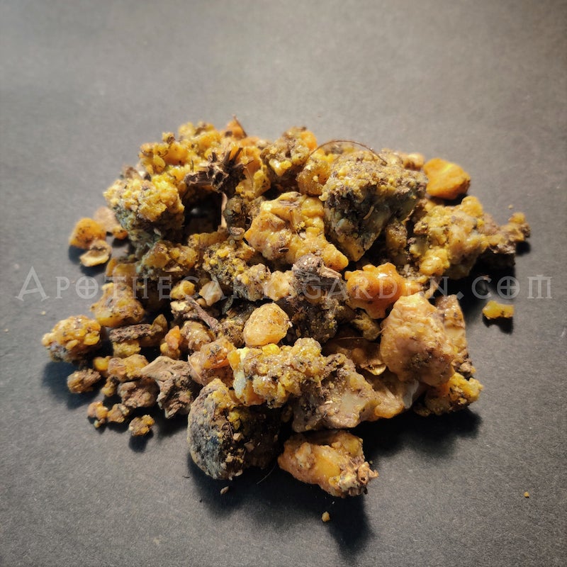 Bitter Asafoetida Resin