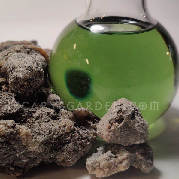 Black Copal-Peru-Copal Negro