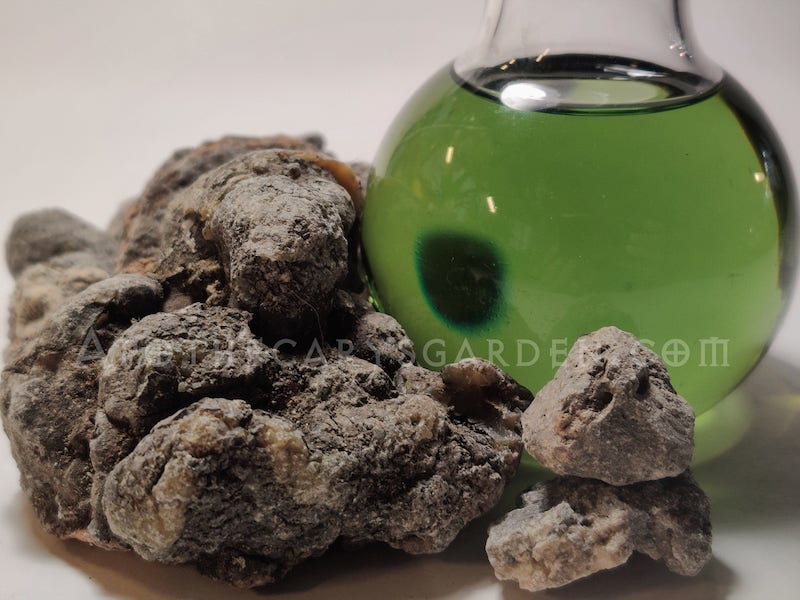 Black Copal-Resin Extract