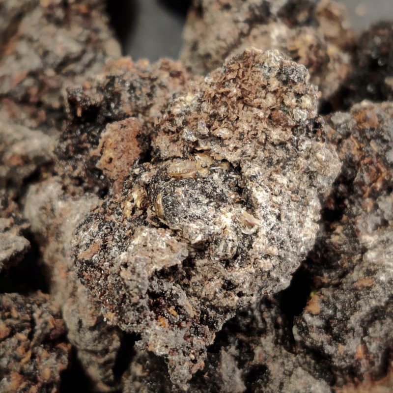 Black Mastic-RARE!!