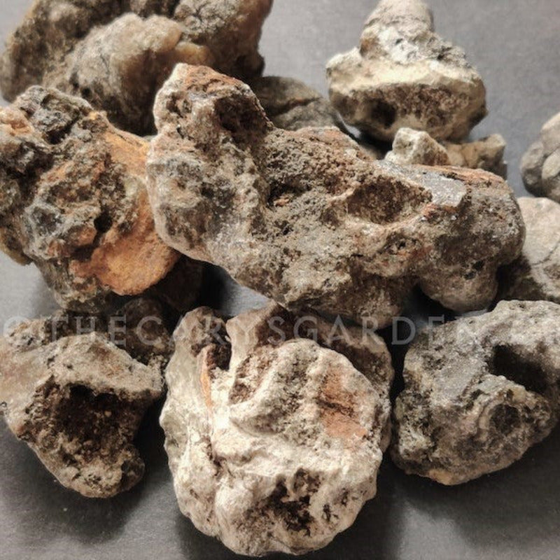 Black Copal-Peru-Copal Negro