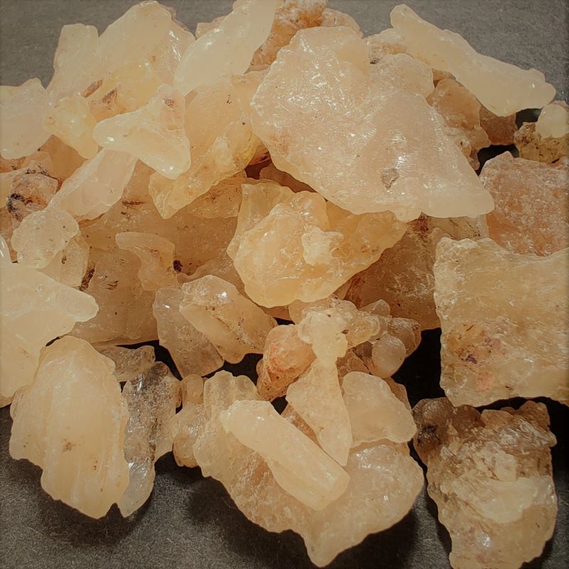 Kauri Copal-Borneo Kauri