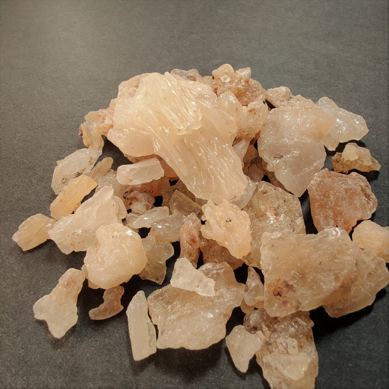 Kauri Copal-Borneo Kauri