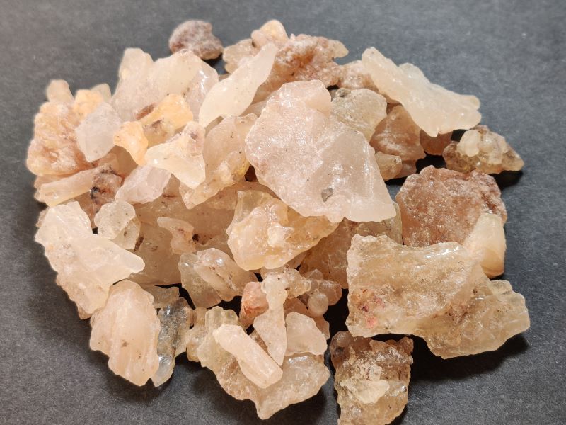 Kauri Copal-Borneo Kauri