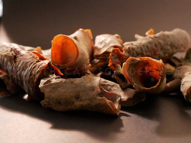 Bushman's Candle Bark Chips