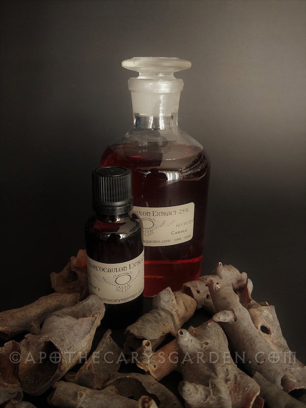 Bushman's Candle Extract