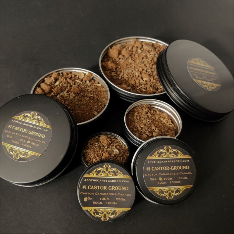 Beaver Castors-Ground