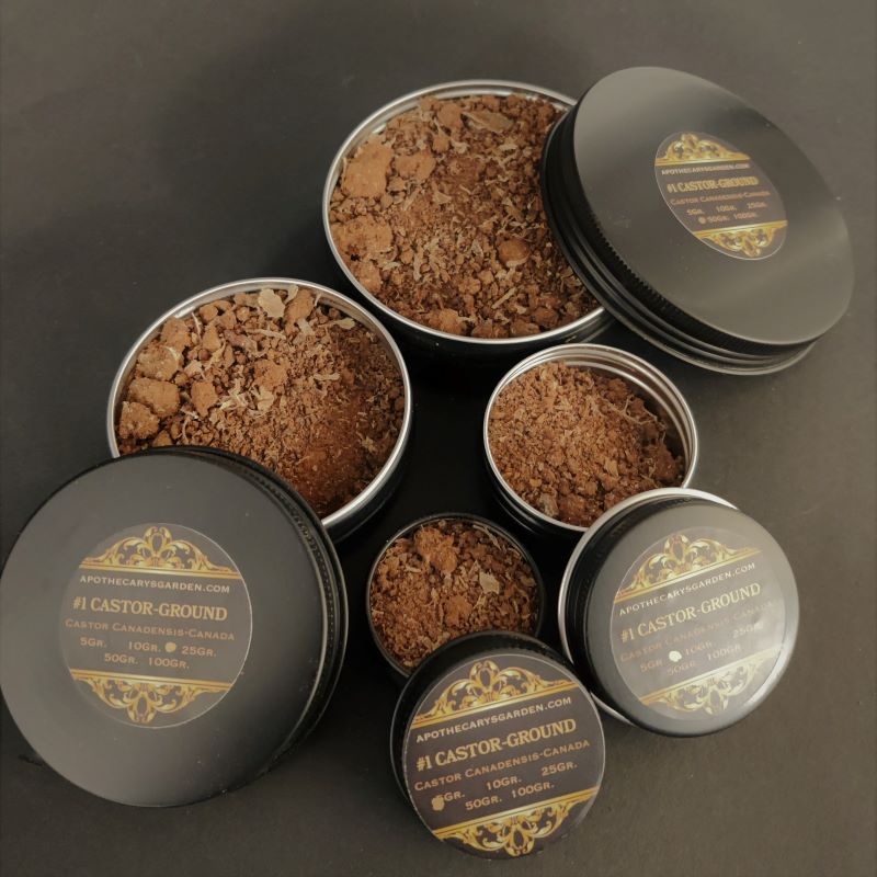 Beaver Powder Beaver Castors-Ground - Apothecary's Garden